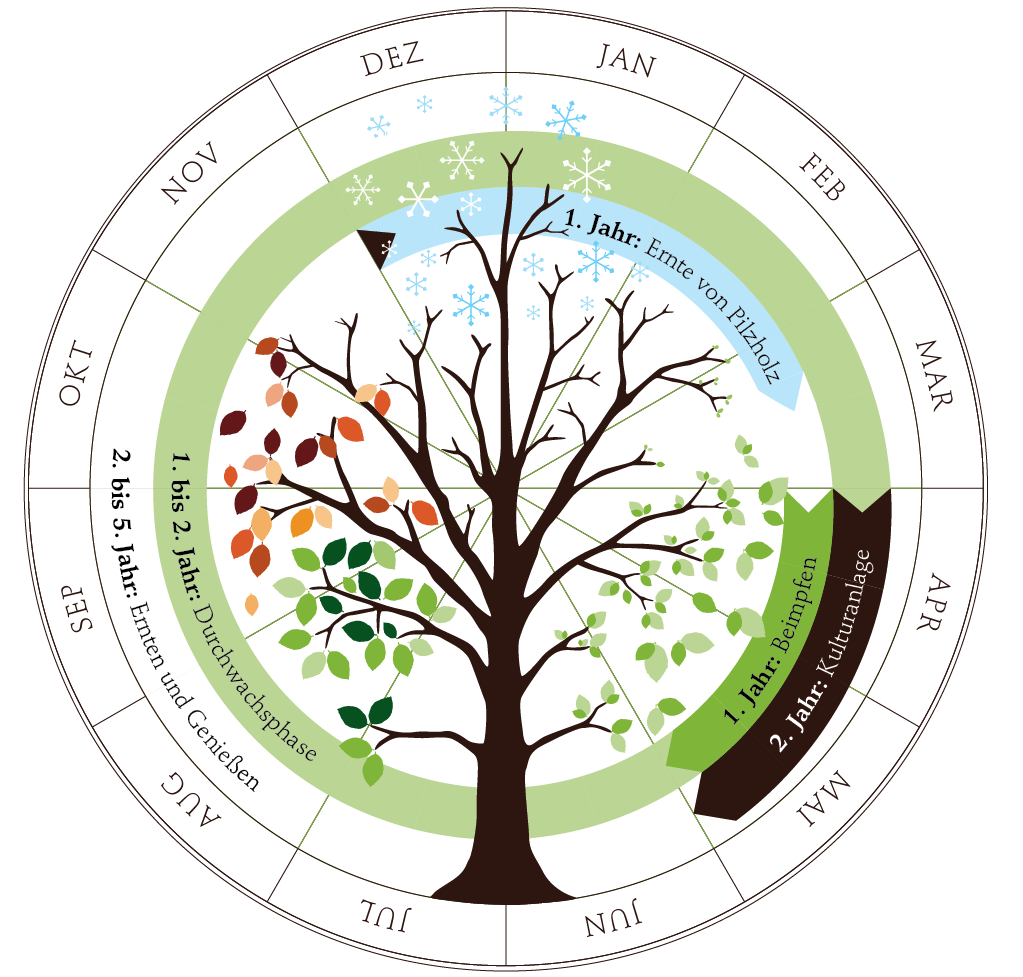 Frühling im Pilzgarten