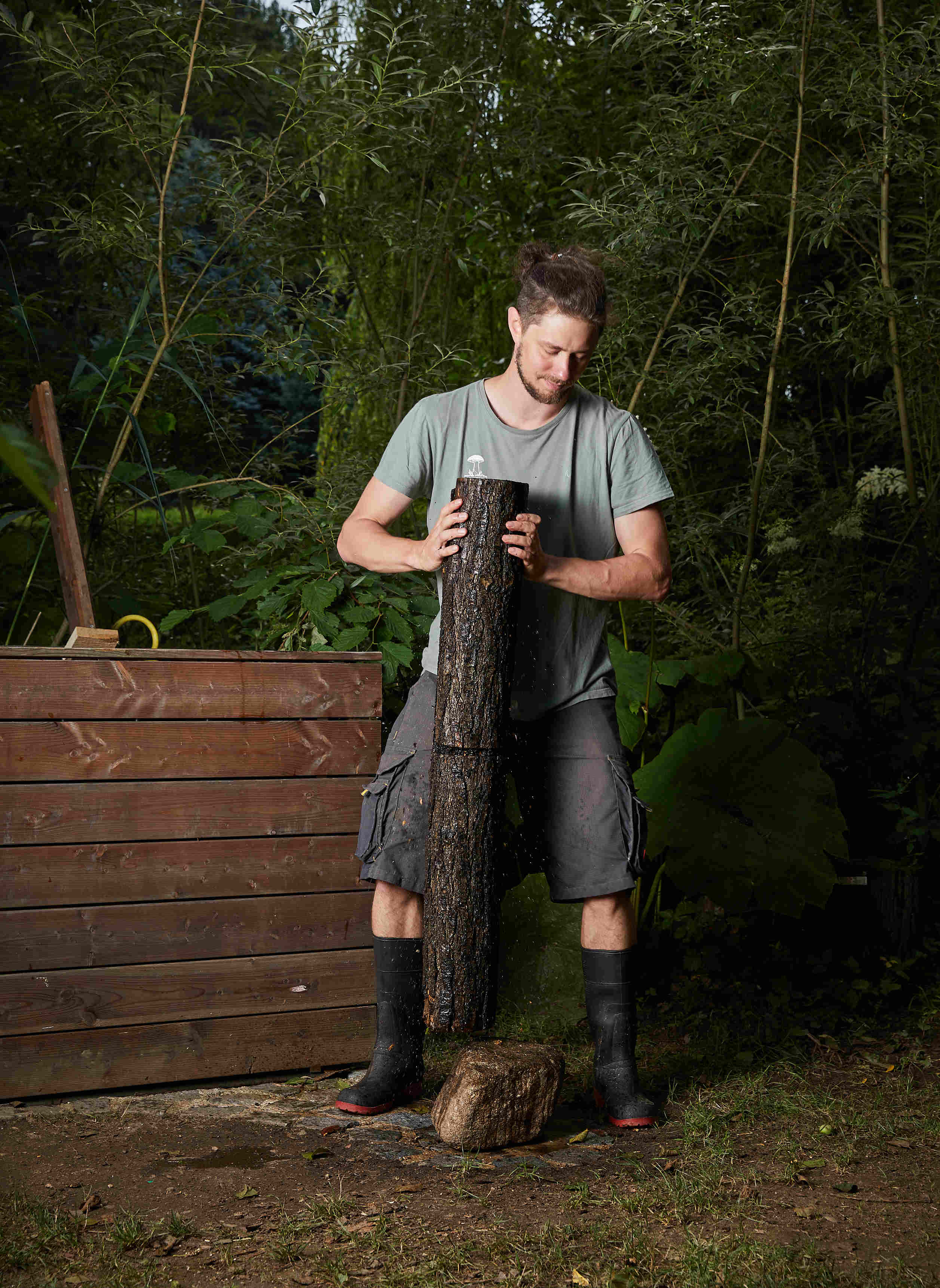 Shiitake Erntekreislauf